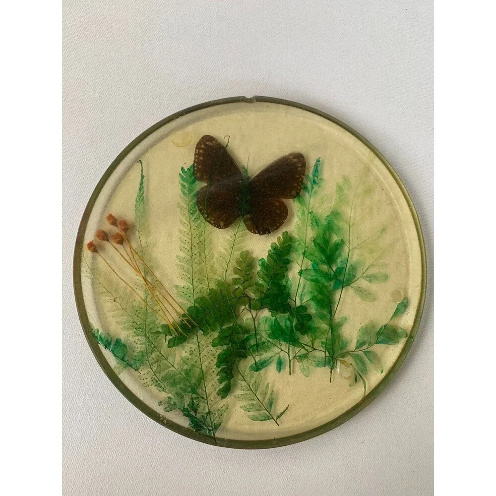 Vintage 60s Acrylic Lucite Butterfly Moth  Dried Flowers Fern Trivet Hot Pad MCM